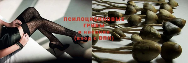 тгк Абдулино