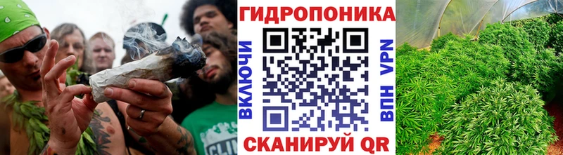 Шишки марихуана MAZAR  Алейск 